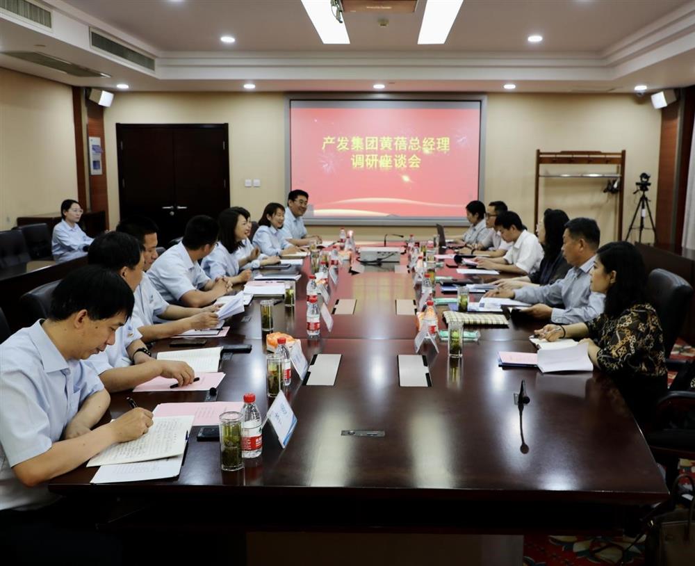 集團黨委副書記、總經理黃蓓帶隊調研濟南市工程咨詢院
